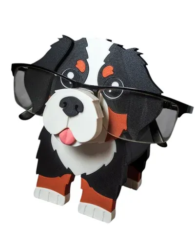 Bernese Gözlük Tutacağı