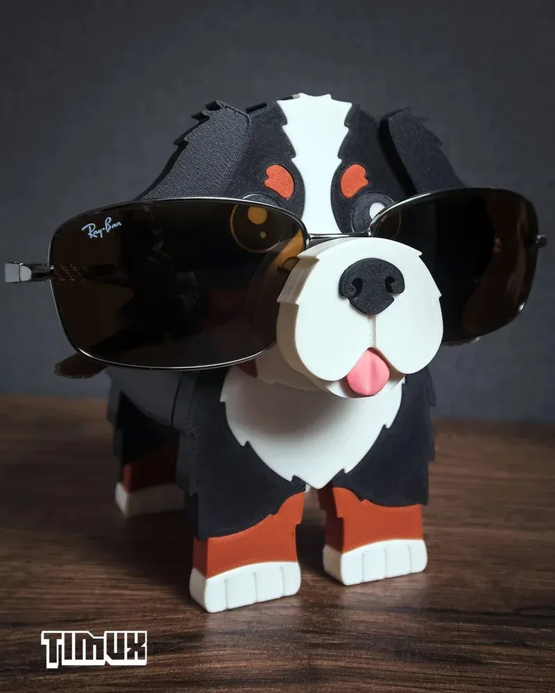 Bernese Gözlük Tutacağı - 1