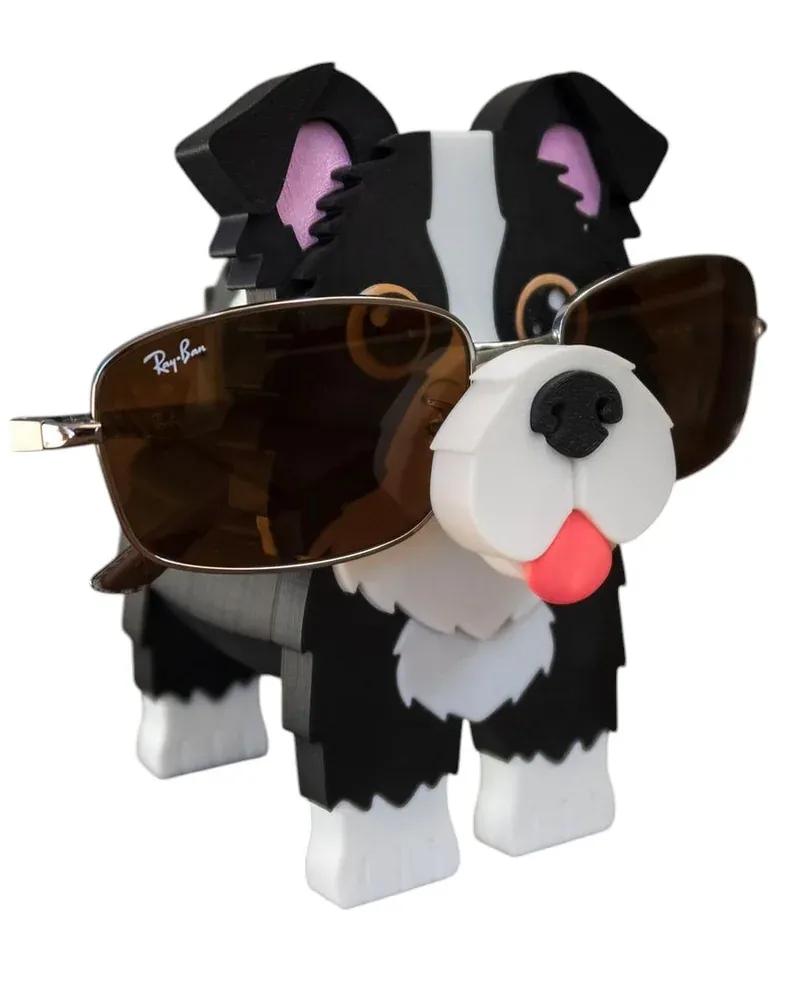 Border Collie Gözlük Tutacağı