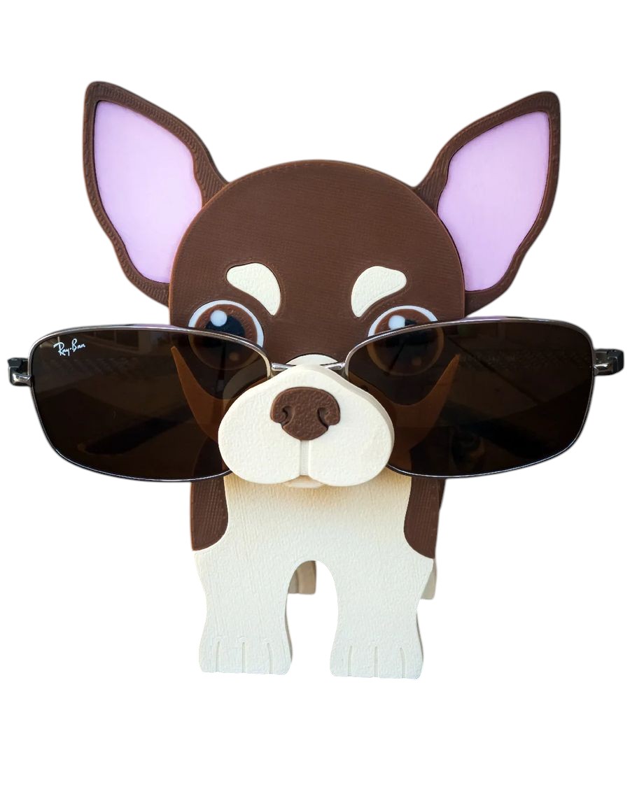 Chihuahua Gözlük Tutacağı