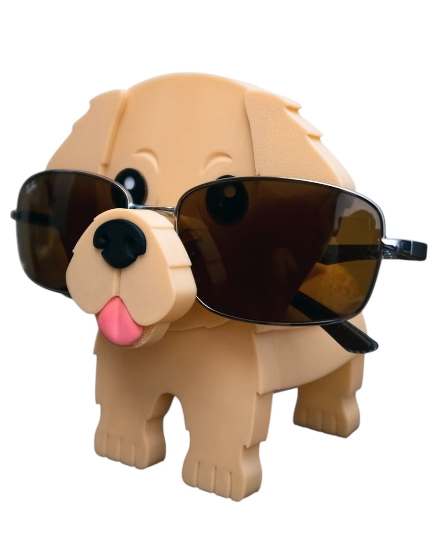 Golden Retriever Gözlük Tutacağı