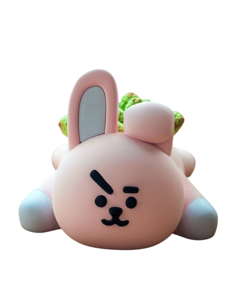 Cooky