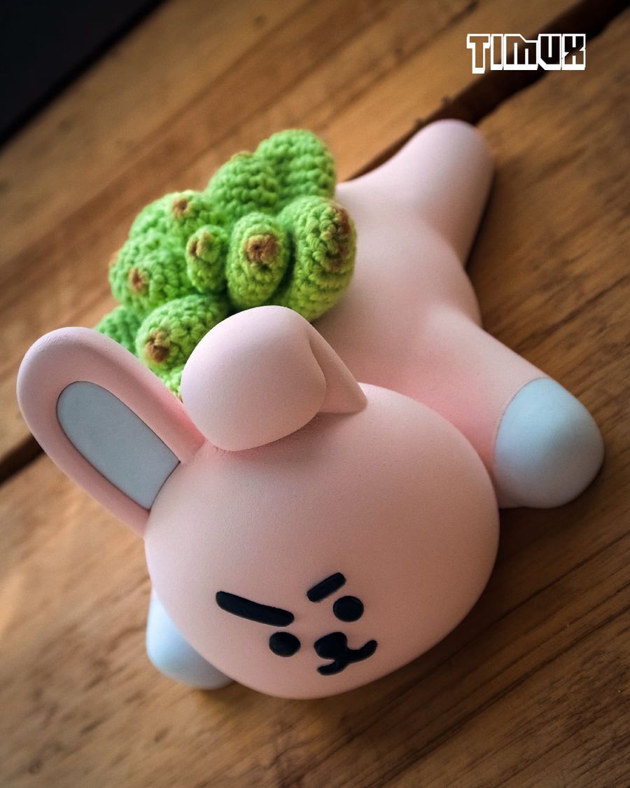 Cooky - 1