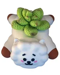 Rj Saksı - Küçük görsel 1