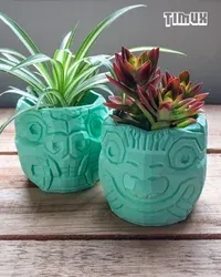 Pot Kalemlik - Küçük görsel 3