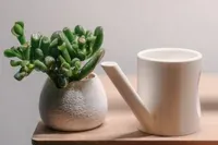 Little Sulama Kabı - Küçük görsel 2