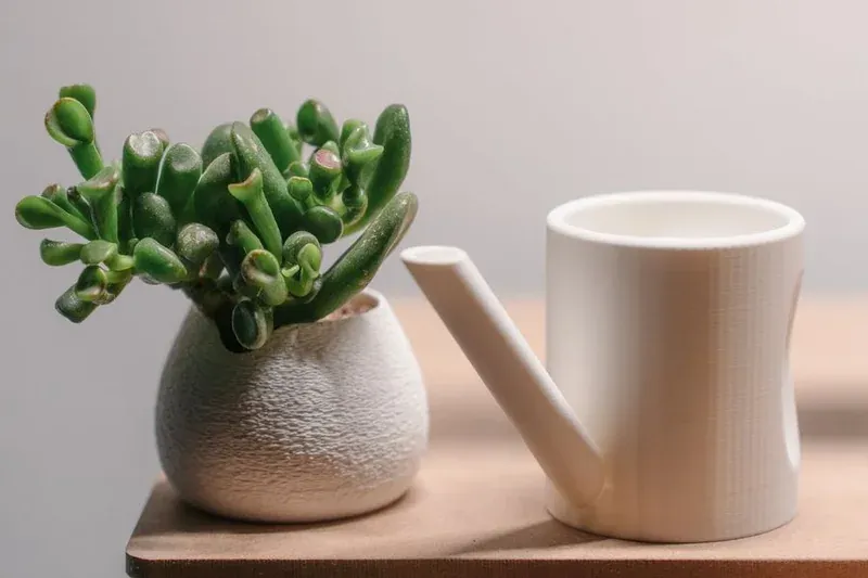 Little Sulama Kabı - 1