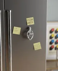 Nobody Magnet - Küçük görsel 2