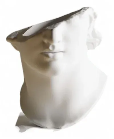 Venus Elegance Sculptural