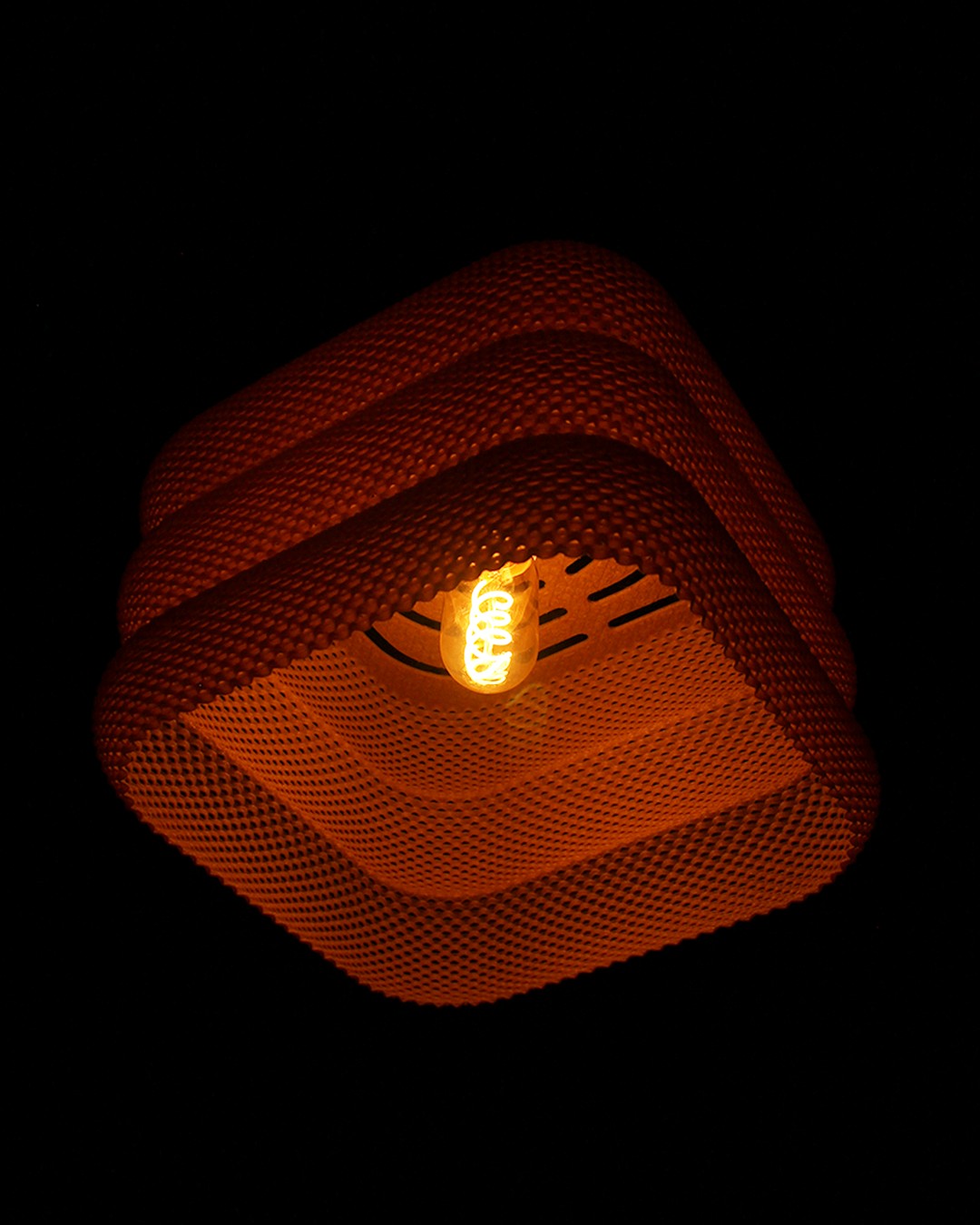 Clara - 6