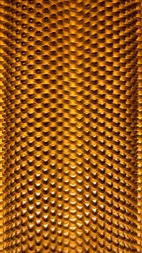 Carla - Küçük görsel 5