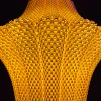 Larisa - Küçük görsel 3