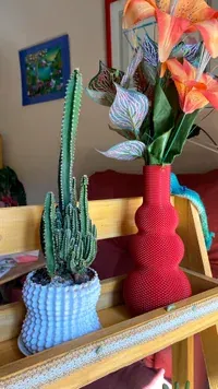 Poro - Küçük görsel 2