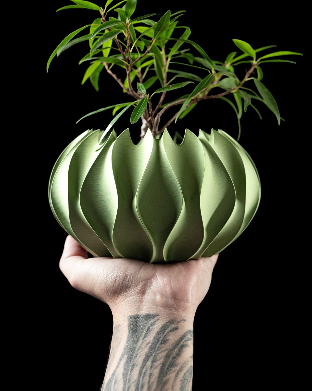 Abypot - 1