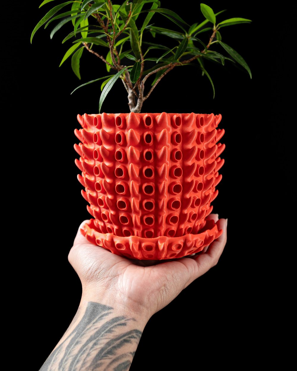 Barnacle Pot - 1