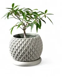 Bloom Pot - Küçük görsel 1