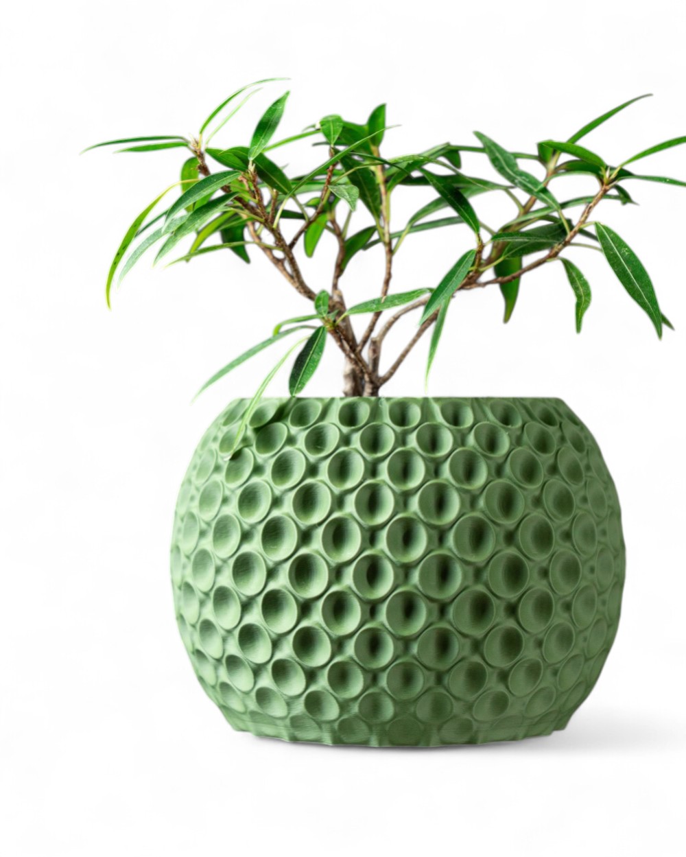 Bubble Pot