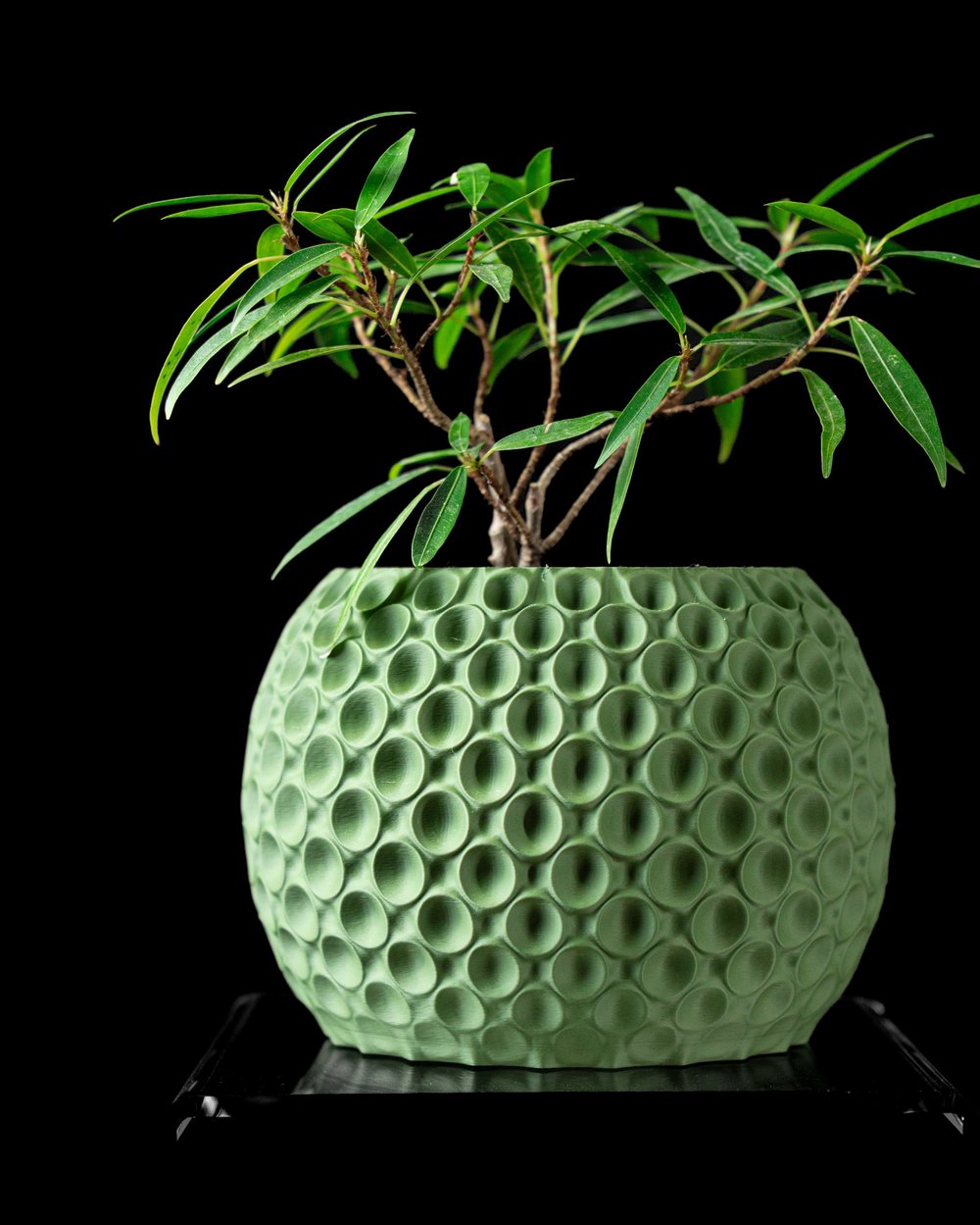 Bubble Pot - 2