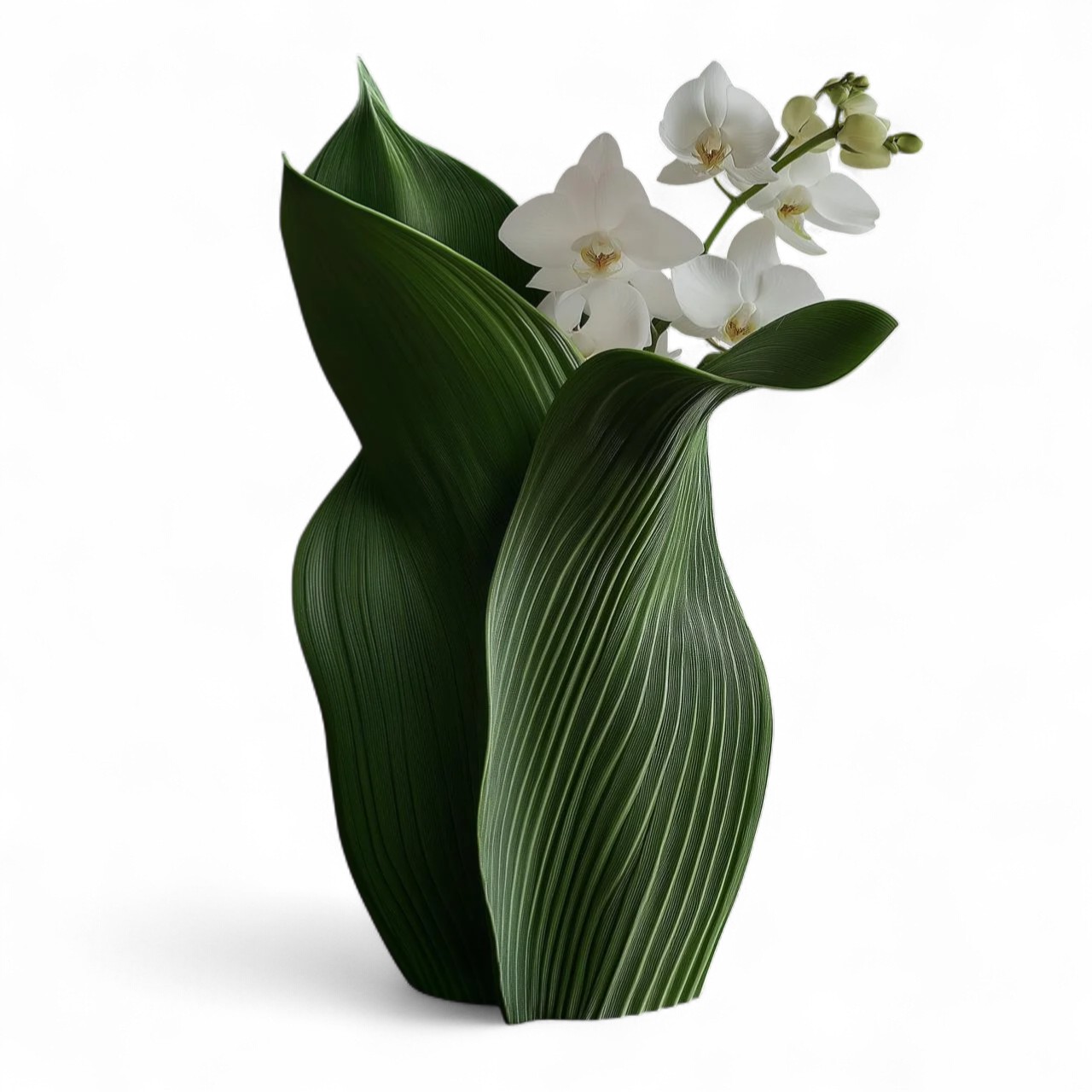 Large Leaf
