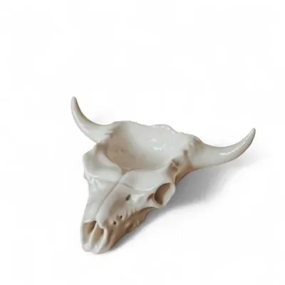Cow Skull