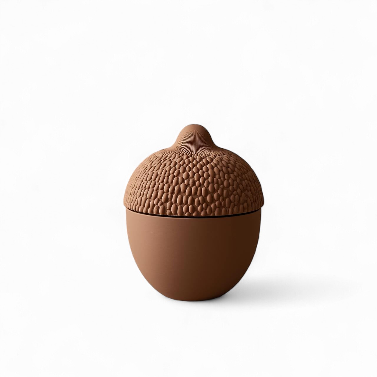 Acorn Hazine