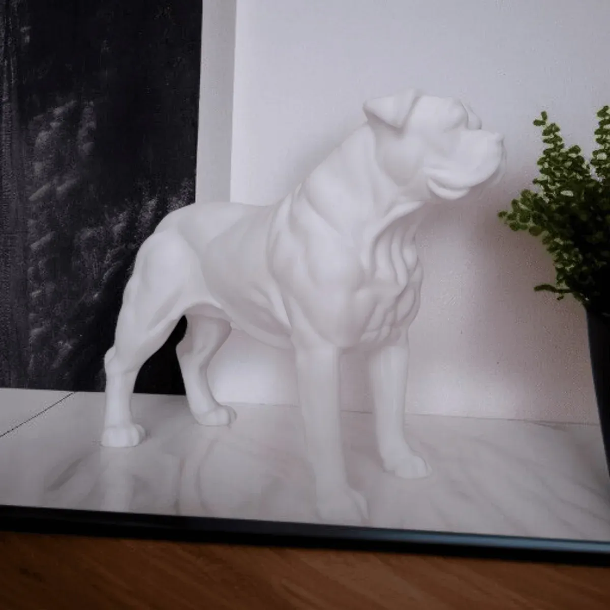 American Bulldog  - 1