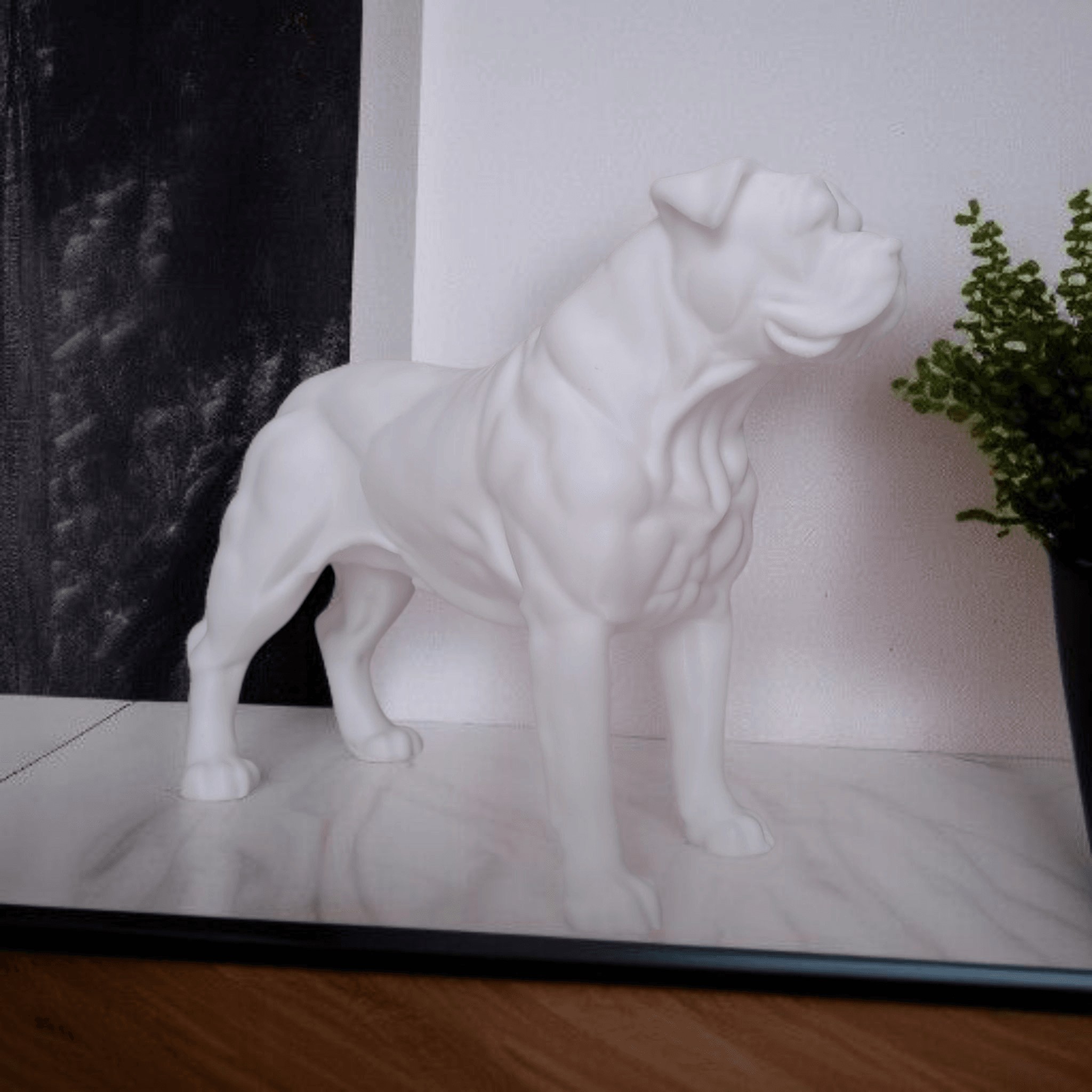 American Bulldog - 1