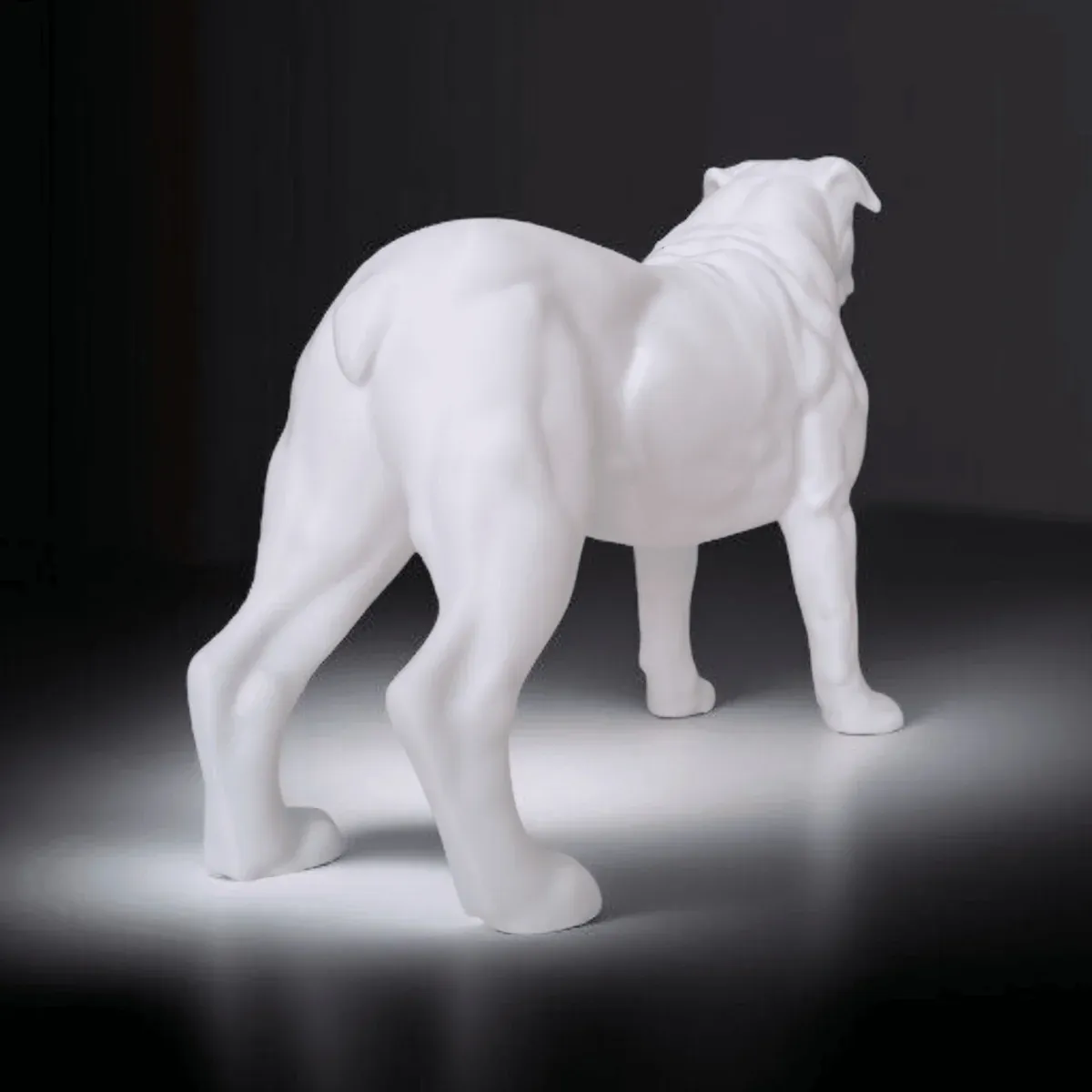 American Bulldog  - 2