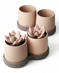 Duo Oryne - Küçük görsel 3