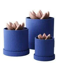 Serel - Küçük görsel 2