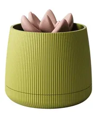 Serel - Küçük görsel 4