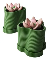 Ivara - Küçük görsel 2