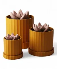 Olyra - Küçük görsel 2