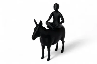 Silent Journey Rider