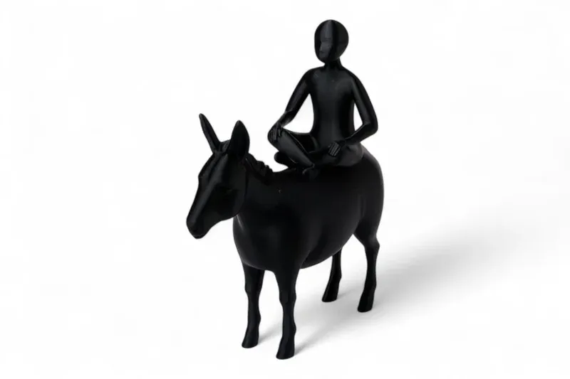 Silent Journey Rider