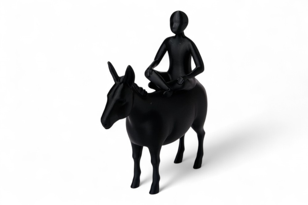 Silent Journey Rider