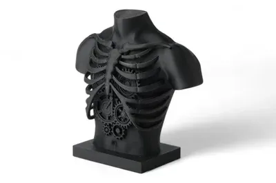 Steampunk Ribcage Bust