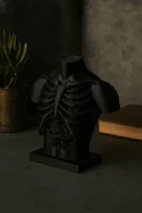 Steampunk Ribcage Bust - Küçük görsel 2